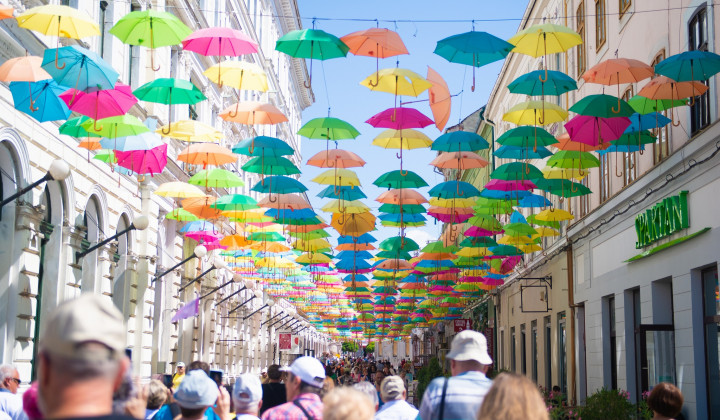 Sklenile so se 22. radijske počitnice (foto: Rok Mihevc)