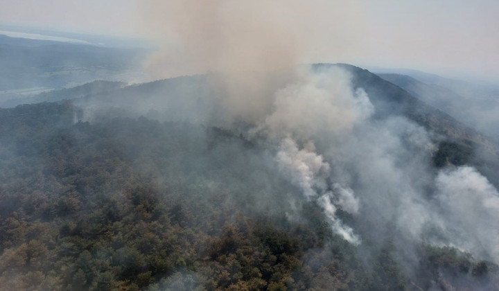 Požar, ki je izbruhnil pod hribom Trstelj na Krasu (foto: Gasilska zveza Slovenije)