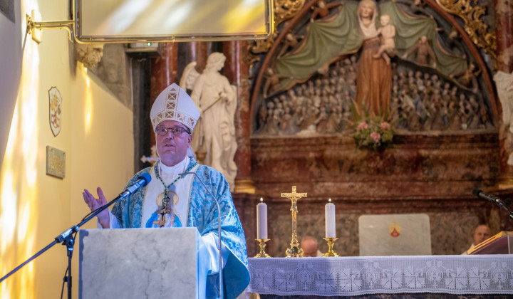 Mariborski nadškof Alojzij Cvikl pred podobo Ptujske Matere Božje (foto: Rok Mihevc)