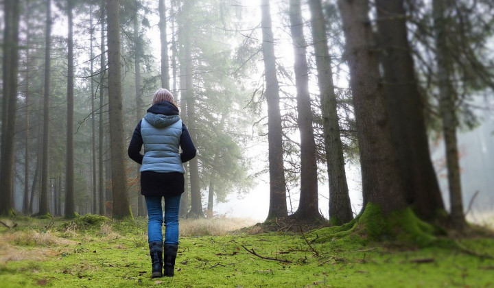 Ob hormonskem neravnovesju, ko sebe ne spoznamo, je tudi narava lahko zelo pomirjujoča. (foto: PixaBay)