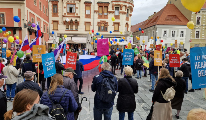 Pohod za življenje v Mariboru (foto: Silvo Sok)