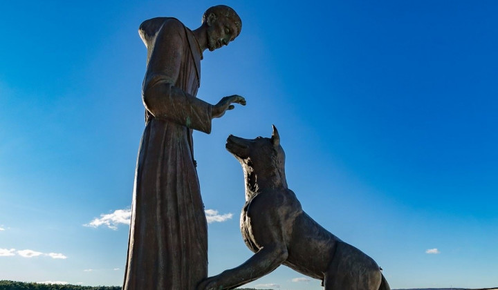 Kip frančiška, ki šola volka - otok Košljun - Punat  - Krk (foto: ARO)