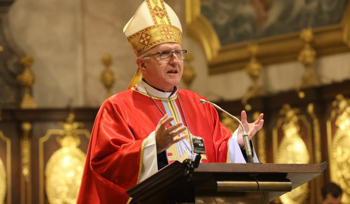 Ljubljanski nadškof Stanislav Zore (foto: Vatican News)