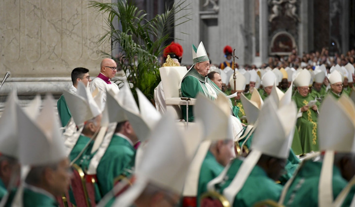 Papež med sklepno mašo s škofi (foto: Vatican media)