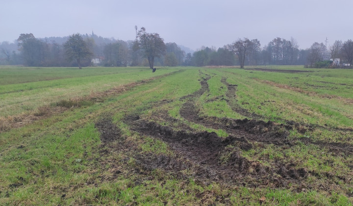 Namočena tla ne omogočajo razvoza gnojil (foto: JSKS pri KGZS)