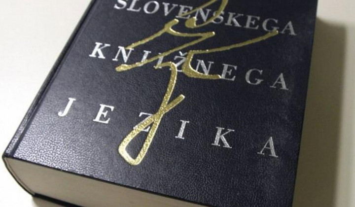 Slovar slovenskega knjižnega jezika  (foto: ARO)