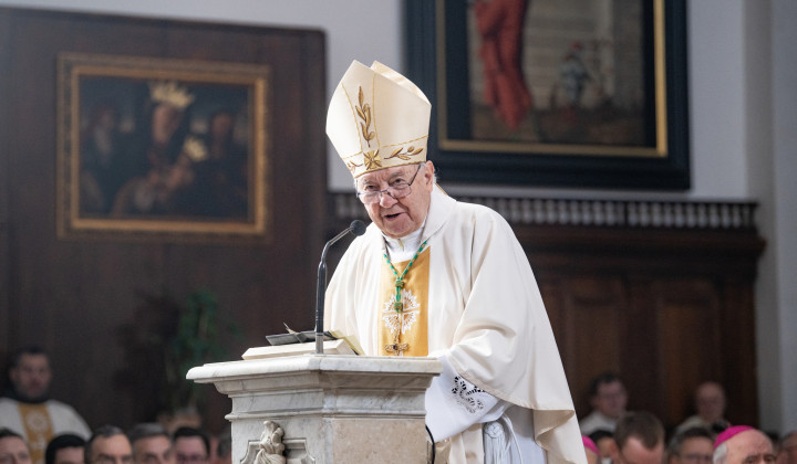 Škof Jurij Bizjak (foto: Rok Mihevc)