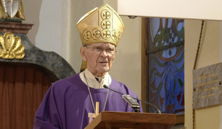 Škof Stanislav Lipovšek (foto: Vatican News)