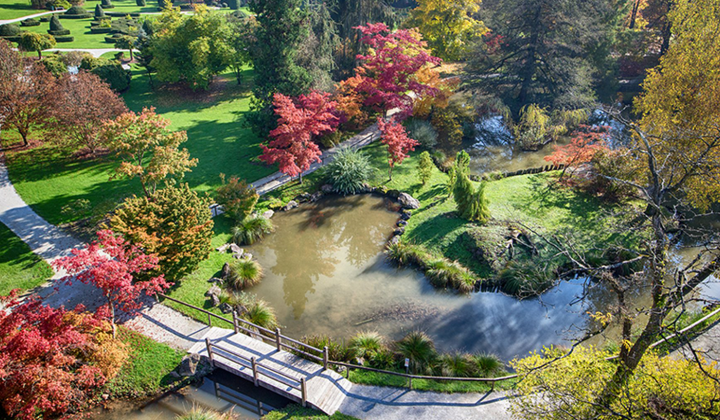 Kjer se duh in oko spočijeta Kjer se duh in oko spočijeta (foto: Arboretum Volcji Potok)