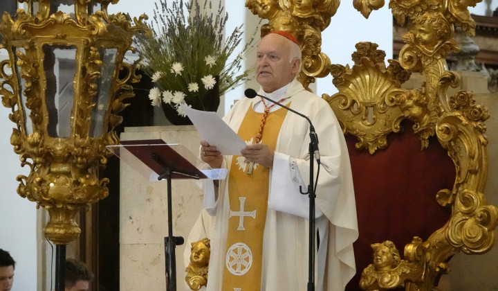 Kardinal Nemet med sveto mašo v koprski stolnici (foto: p. Ivan Rampre)