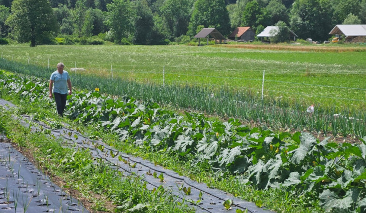 Kmet na njivi Kmet na njivi (foto: STA)
