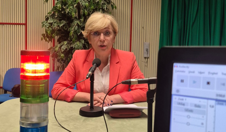 Evropska poslanka SDS in podpredsednica EPP Romana Tomc (foto: ARO)