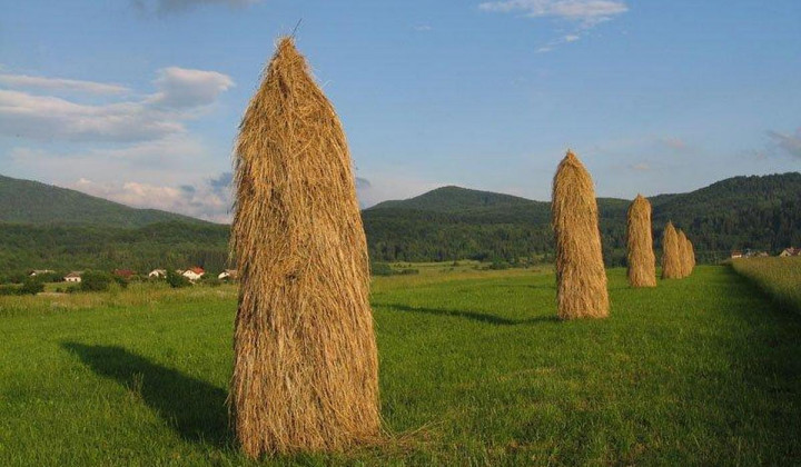 Ostrnice v Loški dolini Ostrnice v Loški dolini (foto: Občina Loška dolina)