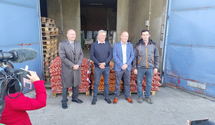 Dampinški uvoz krompirja onemogoča prodajo domačega pridelka in obstoj kmetij. (foto: Robert Božič)