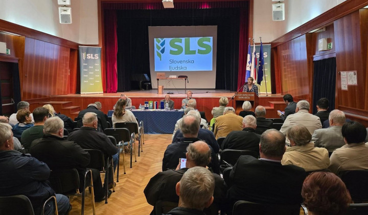 Zasedanje glavnega odbora SLS Zasedanje glavnega odbora SLS (foto: Vir: Facebook stranke SLS)