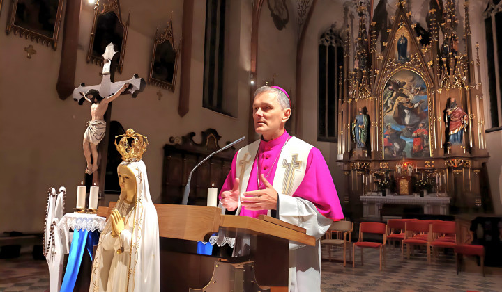 Škof Andrej Saje (foto: Škofija Novo mesto)