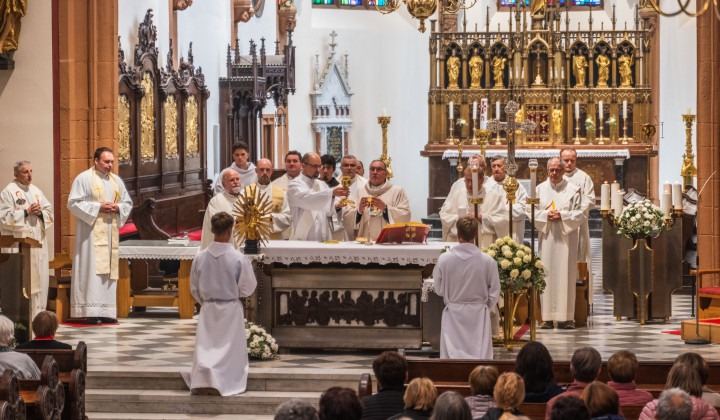 Zahvalna sveta maša ob obletnici Nadškofijske karitas Maribor Zahvalna sveta maša ob obletnici Nadškofijske karitas Maribor (foto: Domen Premozer)