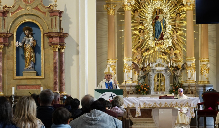Novomeški škof dr. Andrej Saje (foto: Radio Vatikan)