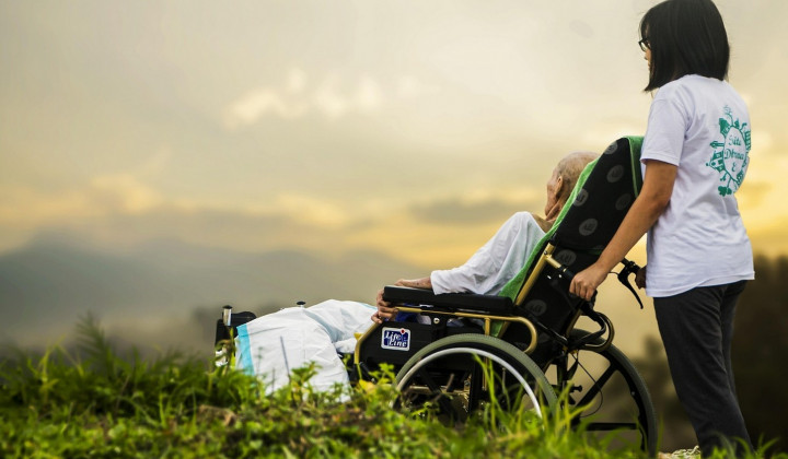 Življenje je čudež. V vseh oblikah.  Življenje je čudež. V vseh oblikah.  (foto: PixaBay)