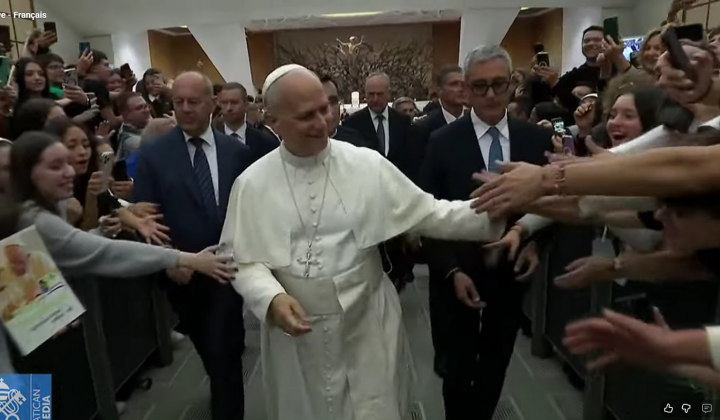 Papež pozdravlja udeležence srečanja Papež pozdravlja udeležence srečanja (foto: Posnetek zaslona)