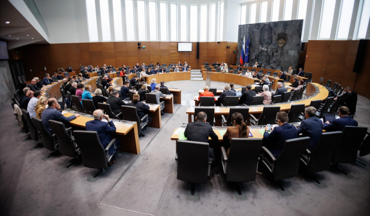 Državni zbor (foto: Nebojiša Tejić / STA)