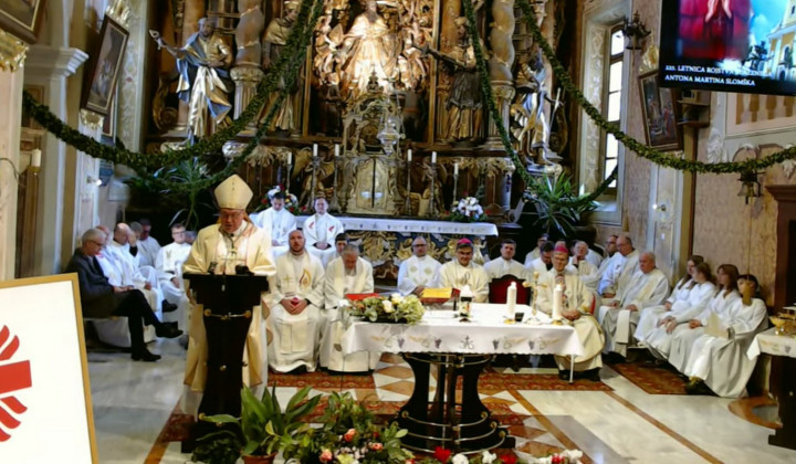Nadškof Alojzij Cvikl (foto: Zajem zaslona Youtube prenosa iz župnijske cerkve sv. Martina na Ponikvi)