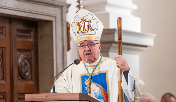 Pridiga škofa Franca Šuštarja (foto: Rok Mihevc)