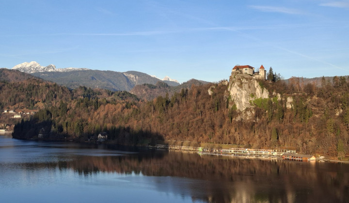 Blejski grad (foto: aro)