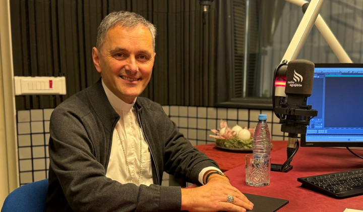 Škof Andrej Saje (foto: Rok Mihevc)