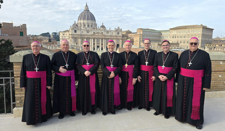 Slovenski škofje v Vatikanu (foto: )