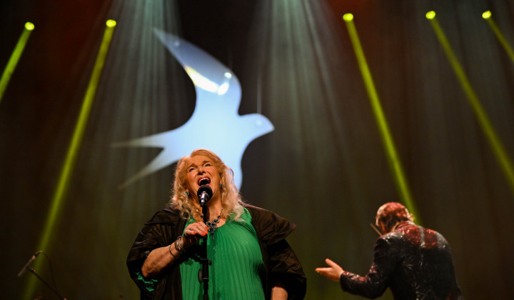 Poslovilni koncert Elde Viler (foto: Nejc Fon)