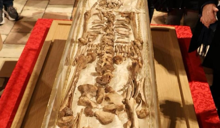 Relikvije sv. Frančiška (foto: Vatican Media)