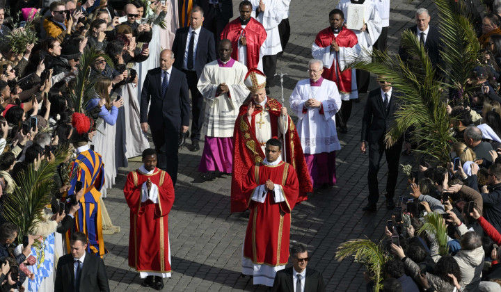 Cvetna nedelja  (foto: Vatican Media )
