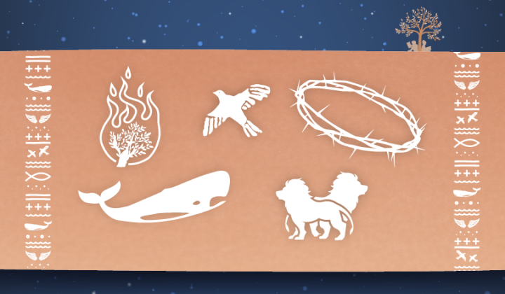 Sveopisemski kviz (foto: Štefan Iskra)