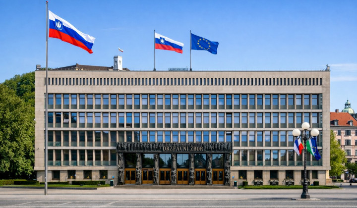 Državni zbor (foto: Umetna inteligenca)