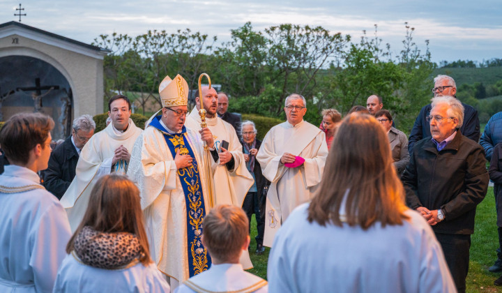 Nadškof Cvikl  (foto: Domen Premozer)
