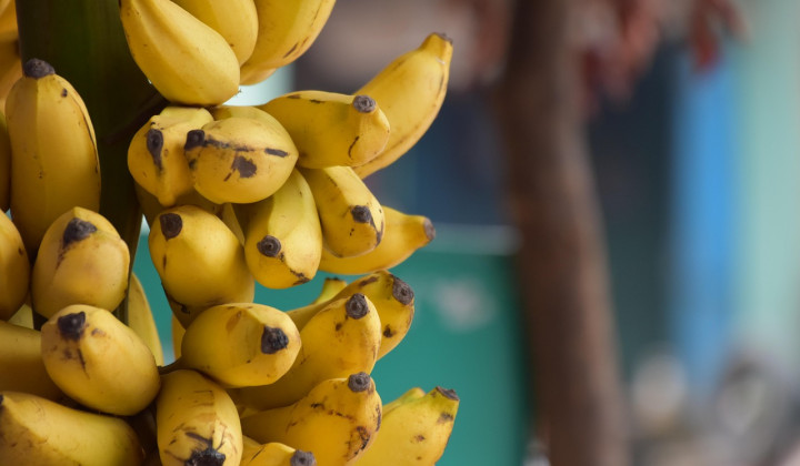 Banane (foto:  Prasanta Sahoo from Pixabay)