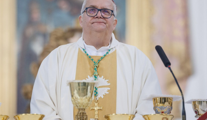 Škof Peter Štumpf (foto: Nebojša Tejić/STA)