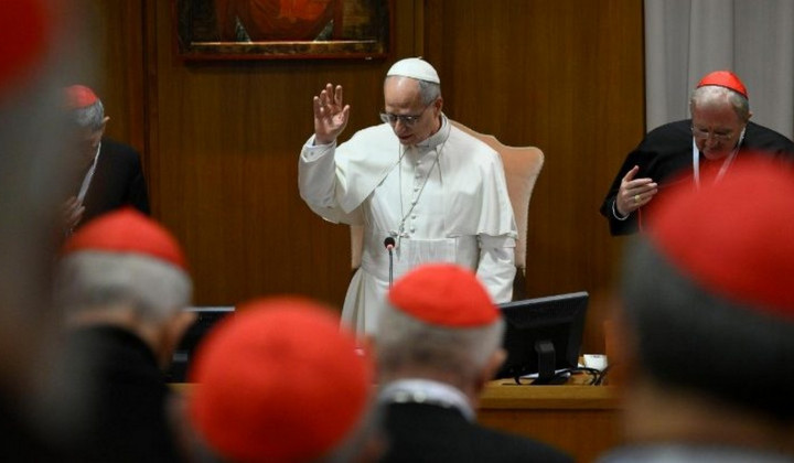 Papež Leon XIV. in kardinali (foto: Vatican Media)