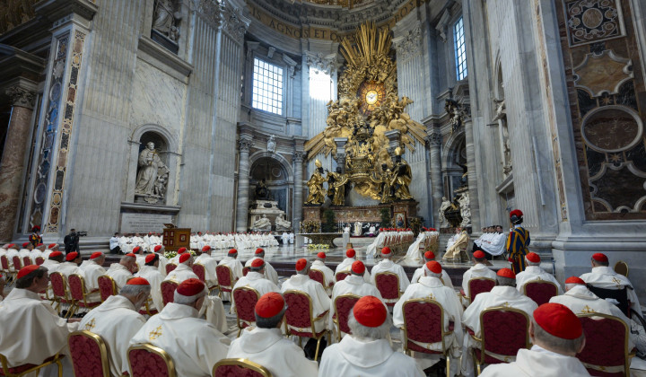 Papež Leon in kardinali med sveto mašo (foto: Vatican Media)