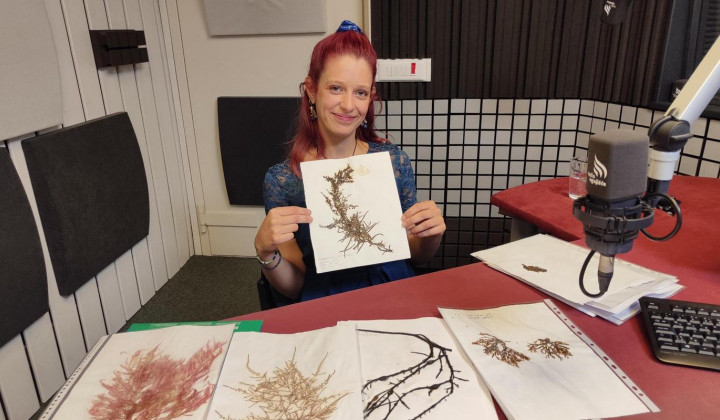 dr. Ana Lokovšek z algarijem  (foto: Maja Morela Čuk)