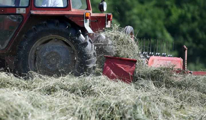 Spravilo sena, traktor, kmetijstvo (foto: Tamino Petelinšek/STA)