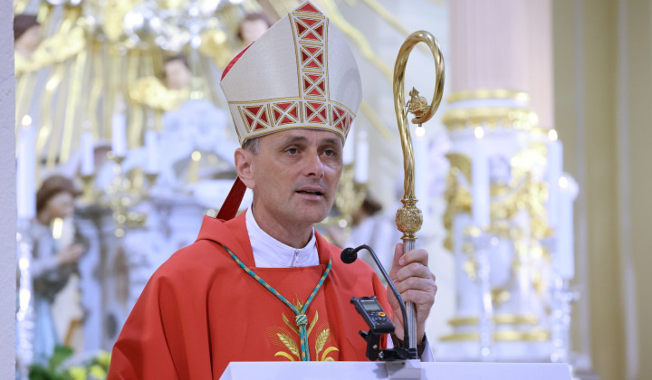 Škof Andrej Saje med nagovorom (foto: Jože Potrpin)