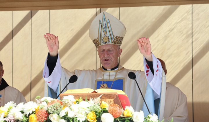 Škof Anton Jamnik (foto: marija.si)