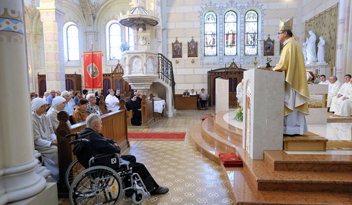 Škof Maksimilijan Matjaž (foto: Škofija Celje)