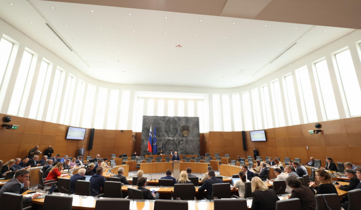 Državni zbor  (foto: Matija Sušnik/Državni zbor)