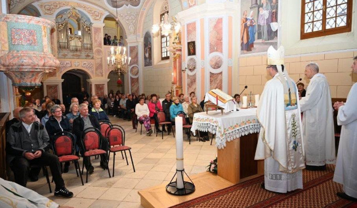 Škof Maksimilijan Matjaž (foto: Škofija Celje)
