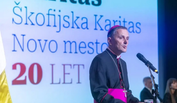 Škof Andrej Saje (foto: Škofija Novo mesto)