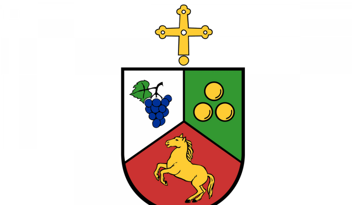 Škofija Novo mesto Škofija Novo mesto (foto: Škofija NM)