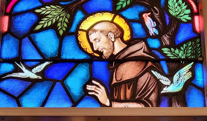 Sveti Frančišek (foto: Glen Mc Call / Pexels)